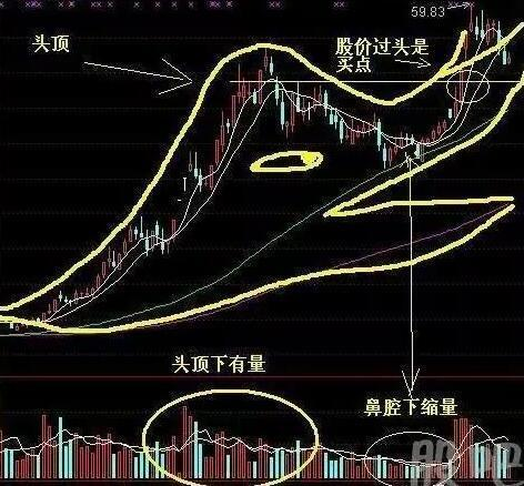 如何查询个人社会保险号